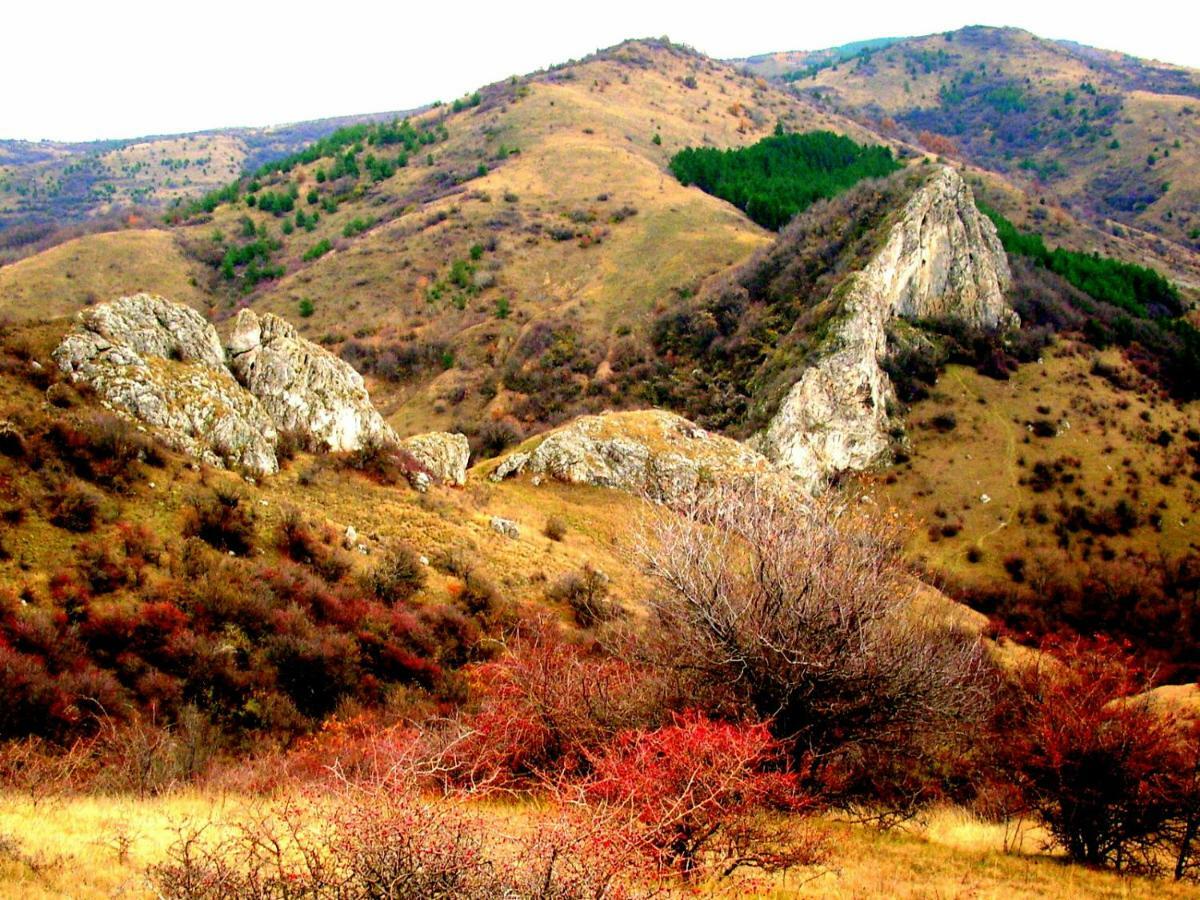 Hotel Aleksievata Kashta Gurgulyat ภายนอก รูปภาพ