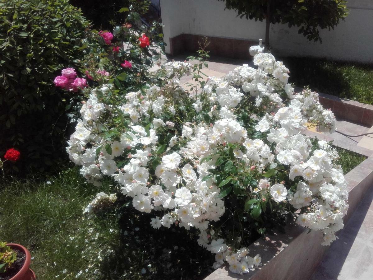 Hotel Aleksievata Kashta Gurgulyat ภายนอก รูปภาพ